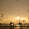 光の雨