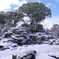 雪景2025・醍醐寺（三宝院・表書院回廊より三宝院庭園を望む2）