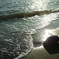 DP2M0160