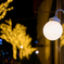 Lights