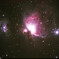 20250226M42