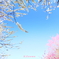 梅園の空