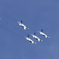 2025 小牧基地航空祭　予行　ブルーインパルス