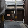 奈良スナップ