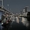夜の土佐堀川
