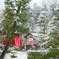 春の雪