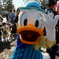 ディズニーリゾート