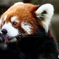 天王寺動物園