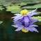 水鏡