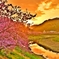 早春の風景 ～朝焼け～