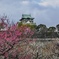 燃ゆる大阪城