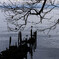 Lakeside