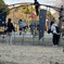 サークルゲーム