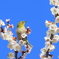 春の訪れ