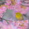 可愛く撮ってね♥️その１