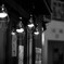 路地裏の蛍