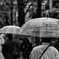 寒い雨の日に