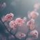 梅花火
