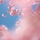 spring for tokyoites 2025