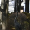 鶴