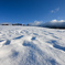 雪原
