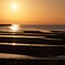 恋叶ロードの夕日