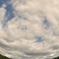 雲