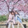 春を楽しむ