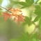 5974207F-0208-43A2-BD41-F88A3880FEDD-852
