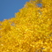 368E1D48-779C-4EDD-BF74-71629638150E-877
