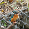 DSC04090