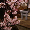 DSC09718