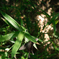SDIM1790