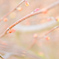 ほんのりピンクの芽生え