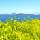 はるうみ協奏曲。。。！