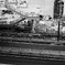 SHIBUYA GP