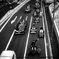 SHIBUYA GP
