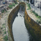 水路の鴨々