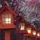 神社の梅Ⅱ♪5