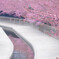 淀水路の河津桜