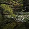 伝説のポケモン出てきそう in 赤レンガ庁舎(札幌)