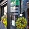 店先を飾る花
