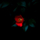 紅一点