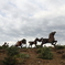 赤馬の行進