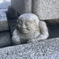 天邪鬼:あまのじゃく
