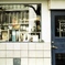 「D」 (film)