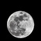 Worm Moon ②