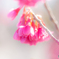 寒緋桜