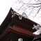 増上寺_三門