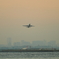 浮島公園より